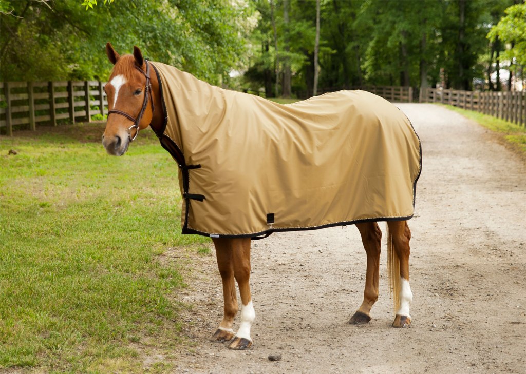 a horse with a rain sheet
